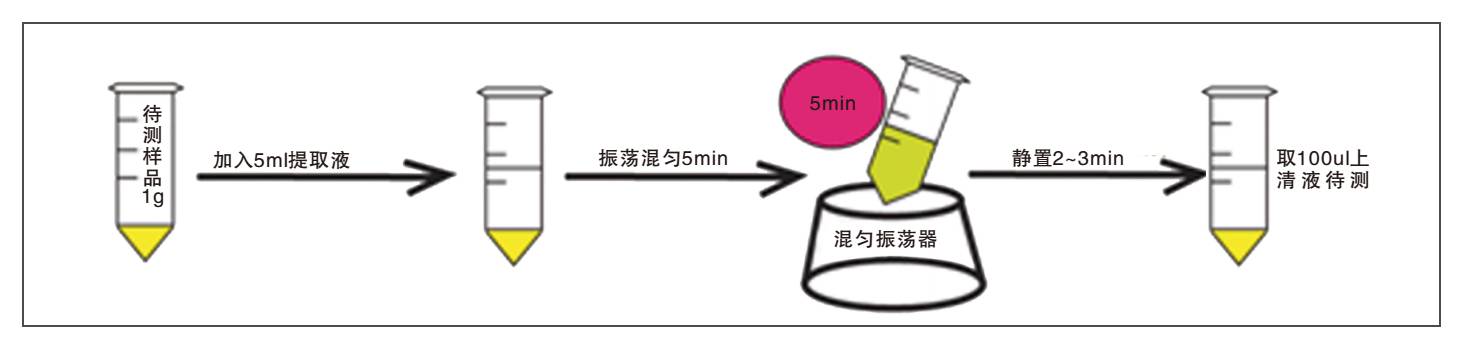 飼料中嘔吐毒素?zé)晒饪焖贆z測試紙條