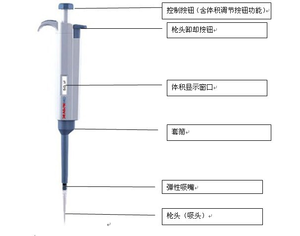 移液槍結構