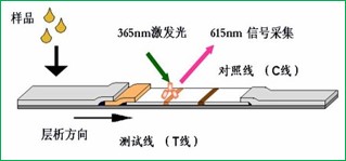 時(shí)間分辨熒光