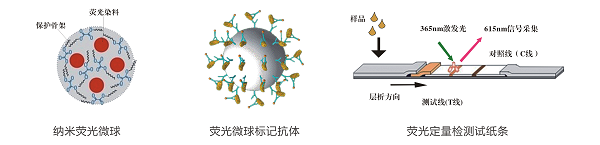 熒光定量檢測技術